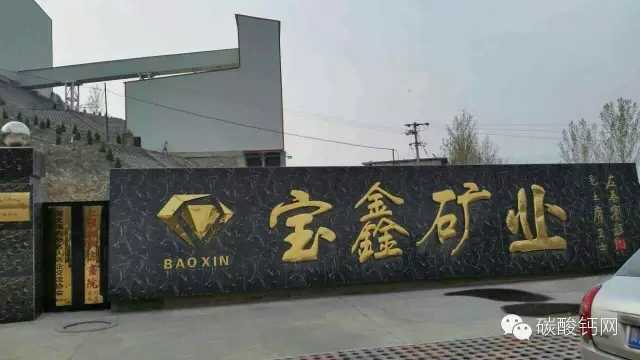 baoxin.webp